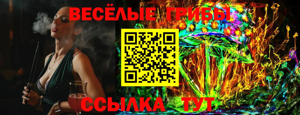 Галлюциногенные грибы мицелий Санкт-Петербург