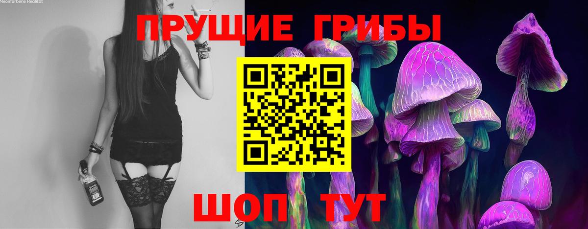 Псилоцибиновые грибы ЛСД  Галлюциногенные грибы GOLDEN TEACHER  Вход с VPN  Санкт-Петербург 