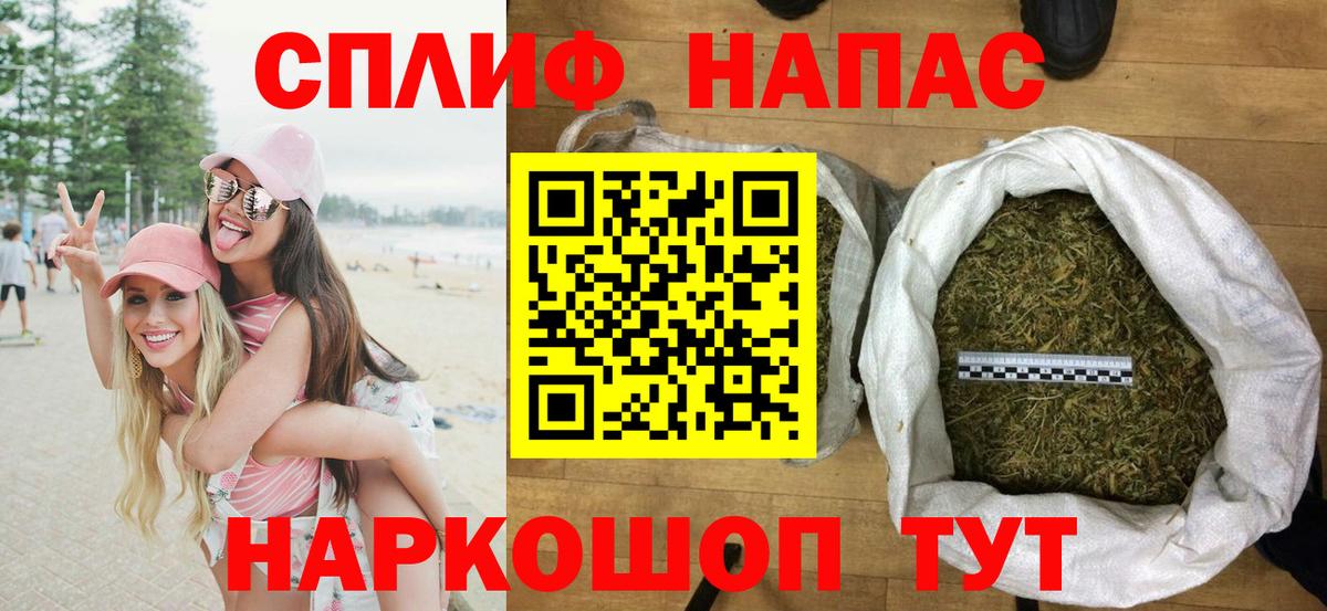 Конопля сатива Санкт-Петербург